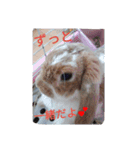 だぁいすき、めーぷる.（個別スタンプ：13）