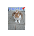 だぁいすき、めーぷる.（個別スタンプ：15）