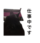黒猫mew 2（個別スタンプ：3）