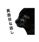 黒猫mew 2（個別スタンプ：4）