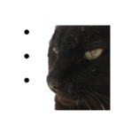 黒猫mew 2（個別スタンプ：6）
