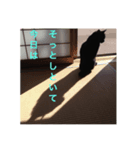 黒猫mew 2（個別スタンプ：8）