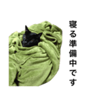 黒猫mew 3（個別スタンプ：5）