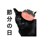 黒猫mew 3（個別スタンプ：6）