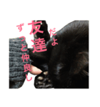 黒猫mew 3（個別スタンプ：8）