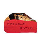 ももまるスタンプ（個別スタンプ：29）