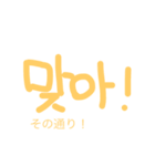 ゆるゆる手書きハングル（個別スタンプ：19）
