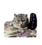 なんてかわいいにゃんこたち！（個別スタンプ：6）