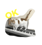 ピアノと猫（個別スタンプ：2）
