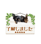 小豆＆春鈴＆姫夏＆苺果スタンプ（個別スタンプ：22）