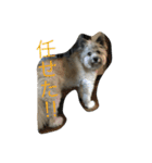 雑種のぺけwith仲間たち（個別スタンプ：2）