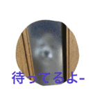 雑種のぺけwith仲間たち（個別スタンプ：8）