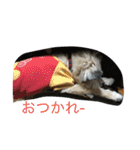 雑種のぺけwith仲間たち（個別スタンプ：14）