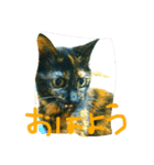 錆猫と三毛猫（個別スタンプ：7）