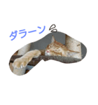 佐助と華（個別スタンプ：1）