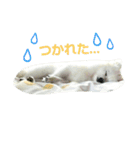 ライチのスタンプ（個別スタンプ：10）