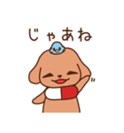 タカサキ薬局公認スタンプ♡癒しの介助犬（個別スタンプ：28）