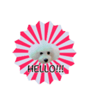 ルアナすてっかー（個別スタンプ：2）