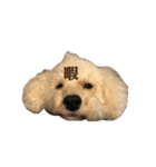 ルアナすてっかー（個別スタンプ：9）
