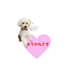 ルアナすてっかー（個別スタンプ：12）