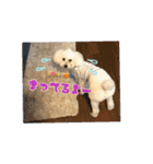 ルアナすてっかー（個別スタンプ：14）