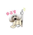 ルアナすてっかー（個別スタンプ：22）