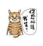 eh！cat！5（個別スタンプ：1）