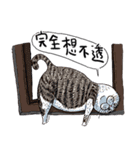 eh！cat！5（個別スタンプ：7）