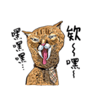 eh！cat！5（個別スタンプ：23）