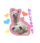 もち吉FRIENDS★（個別スタンプ：15）