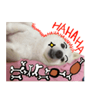 My little zoo 2（個別スタンプ：8）