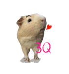 My little zoo 2（個別スタンプ：20）