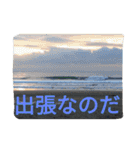 けーこセンセと愛する仲間たち（個別スタンプ：2）
