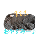 けーこセンセと愛する仲間たち（個別スタンプ：5）