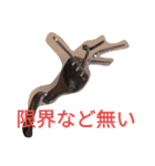 けーこセンセと愛する仲間たち（個別スタンプ：8）