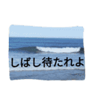 けーこセンセと愛する仲間たち（個別スタンプ：24）