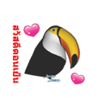 (In Thai) CG Toco Toucan (2)（個別スタンプ：3）