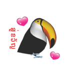 (In Thai) CG Toco Toucan (2)（個別スタンプ：9）