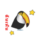 (In Thai) CG Toco Toucan (2)（個別スタンプ：11）