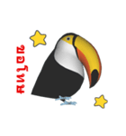 (In Thai) CG Toco Toucan (2)（個別スタンプ：15）