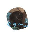 オージーアニマル（個別スタンプ：2）