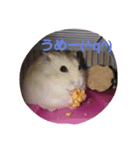 ぶるごろきく（個別スタンプ：8）
