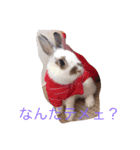 うさぎのマックスの日常生活（個別スタンプ：1）
