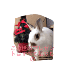 うさぎのマックスの日常生活（個別スタンプ：4）