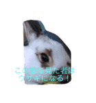 うさぎのマックスの日常生活（個別スタンプ：5）
