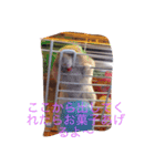 うさぎのマックスの日常生活（個別スタンプ：15）