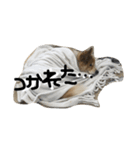 ウィルスタグラム（個別スタンプ：2）