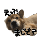ウィルスタグラム（個別スタンプ：5）