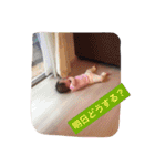 子供 スタンプ（個別スタンプ：14）