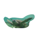 海の生き物(カピバラ？)（個別スタンプ：2）